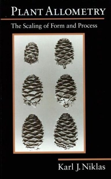 Plant Allometry