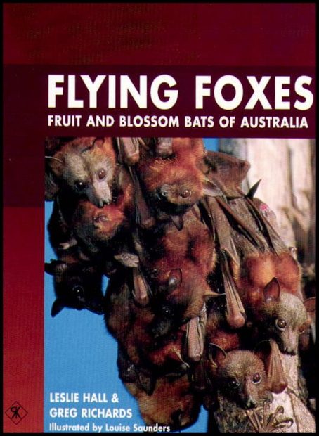 Flying Foxes