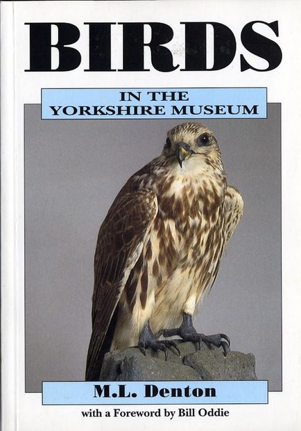 Birds in the Yorkshire Museum