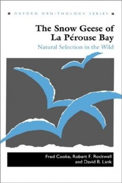 The Snow Geese of La Pérouse Bay