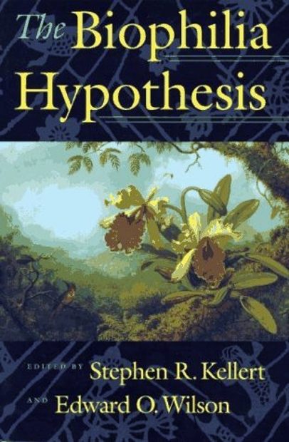 The Biophilia Hypothesis