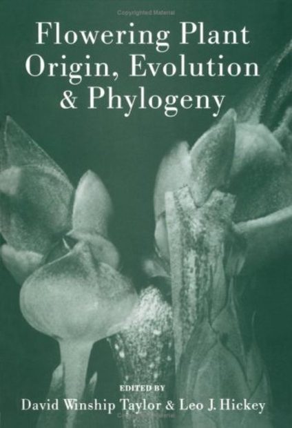 Flowering Plant Origin Evolution and Phylogeny