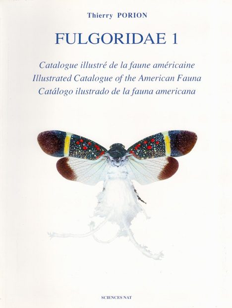 Fulgoridae 1