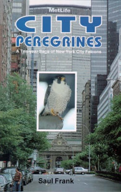 City Peregrines