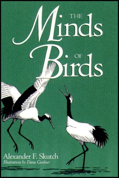 The Minds of Birds