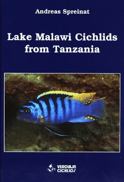 Lake Malawi Cichlids from Tanzania
