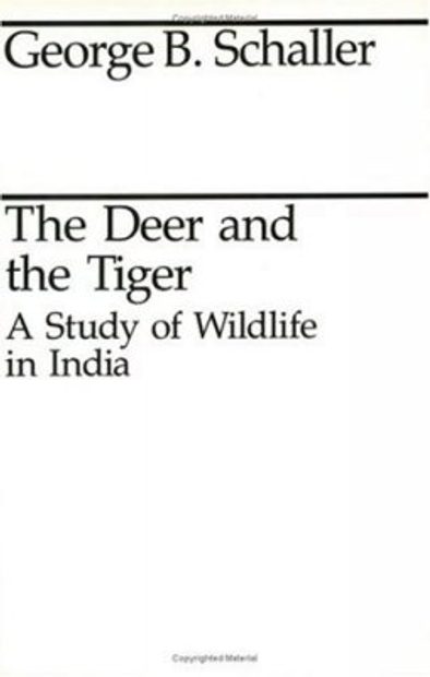 The Deer and the Tiger