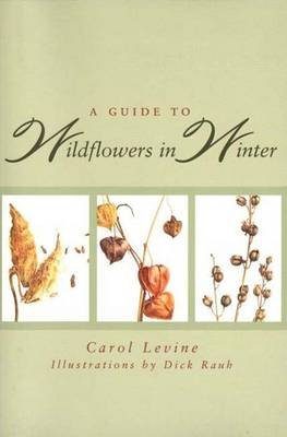 A Guide to Wildflowers in Winter Herbaceous Plants of Northeastern