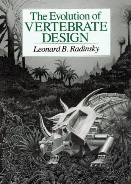 The Evolution of Vertebrate Design