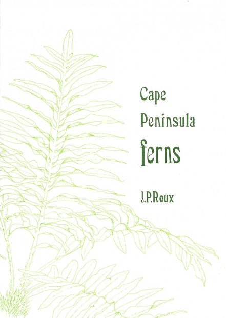 Cape Peninsula Ferns
