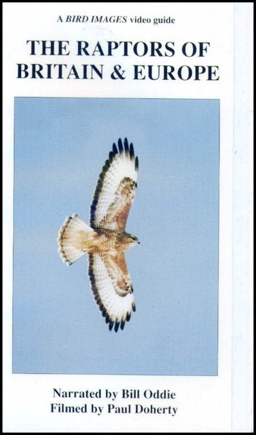 The Raptors of Britain and Europe