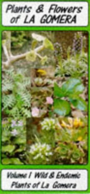 Plants and Flowers of La Gomera