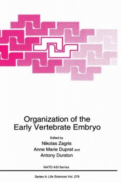 Organization of the Early Vertebrate Embryo