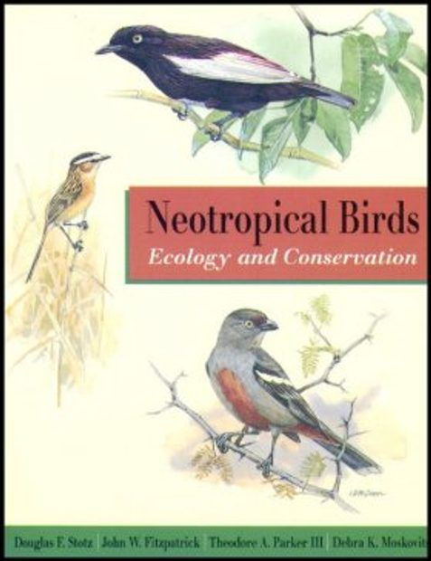 Neotropical Birds