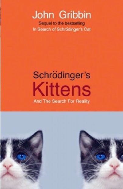 Schrödinger's Kittens and the Search for Reality