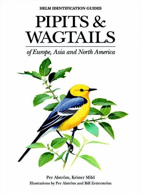 Pipits and Wagtails of Europe, Asia and North America
