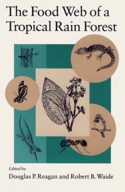 The Food Web of a Tropical Rain Forest