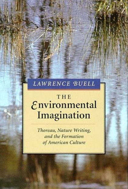 The Environmental Imagination