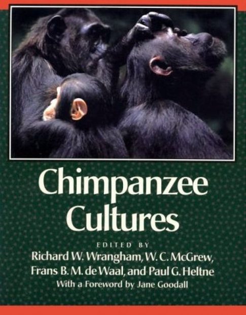 Chimpanzee Cultures