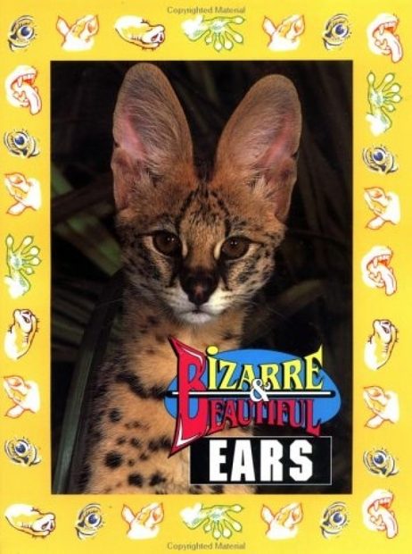 Bizarre and Beautiful Ears