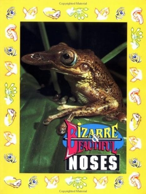 Bizarre and Beautiful Noses