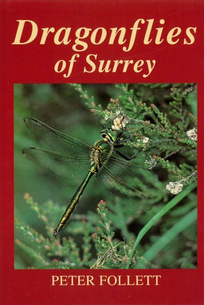 Dragonflies of Surrey