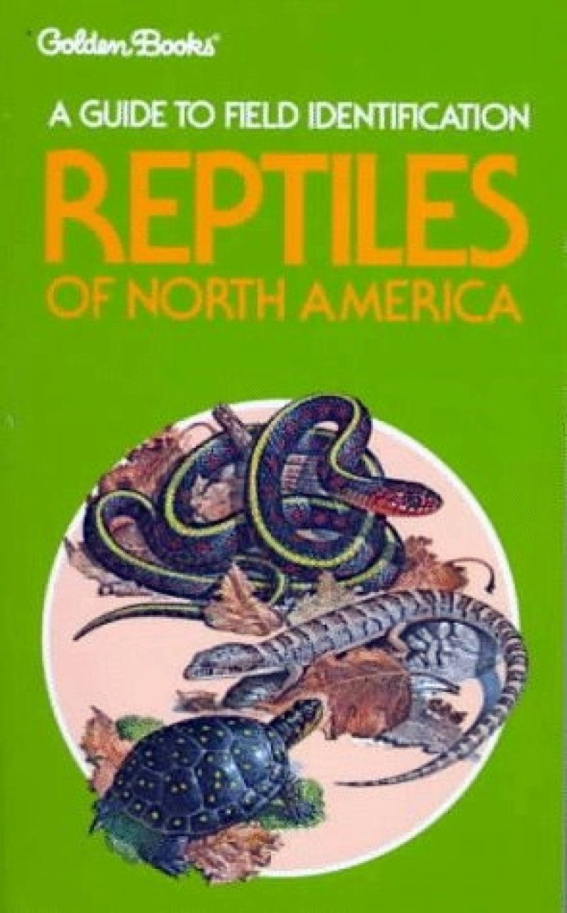 American Alligator Field Guide Poster: A Keystone Species of 