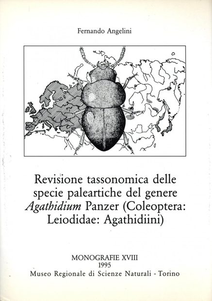 Revisione Tassonomica delle Specie Paleartiche del Genere Agathidium Panzer (Coleoptera: Leiodidae: Agathidiini) [Taxonomic Revision of the Palaearctic Species of the Genus Agathidium Panzer (Coleoptera: Leiodidae: Agathidiini)]