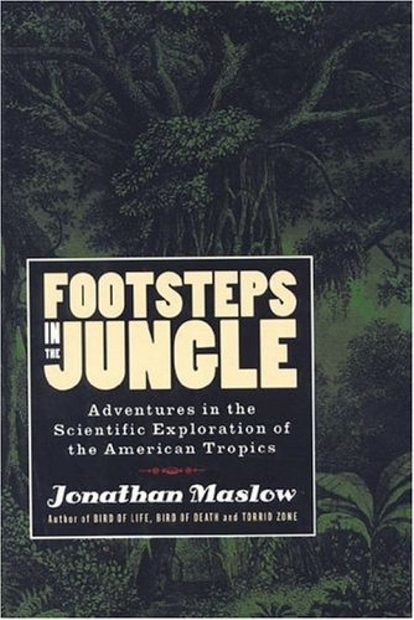 Footsteps in the Jungle