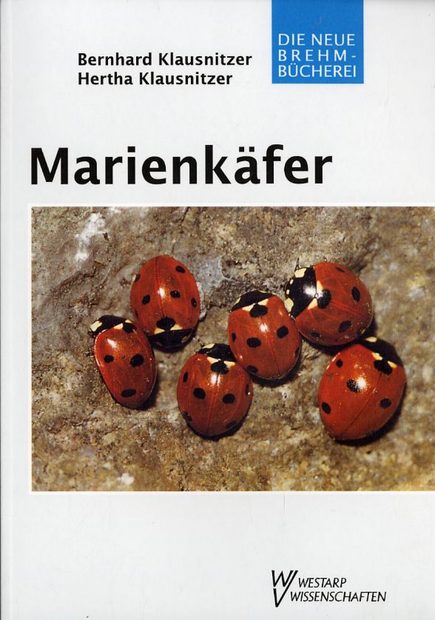 Marienkäfer [Ladybirds]