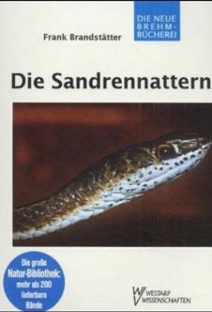 Die Sandrennattern [The Sand Racers]