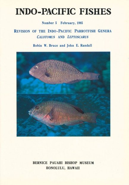 A Revision of the Indo-West Pacific Parrotfish Genera Calotomus and Leptoscarus (Scaridae: Sparisomatinae)
