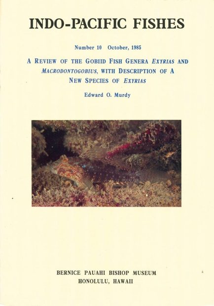 A Review of the Gobiid Fish Genera Exyrias and Macrodontogobius, with Description of a New Species of Exyrias