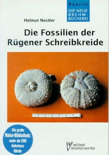 Die Fossilien der Rügener Schreibkreide [The Fossils of the Rügen Chalk]