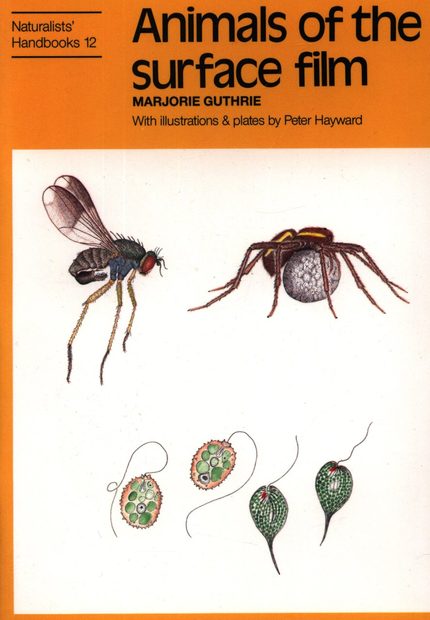 Animals of the Surface Film