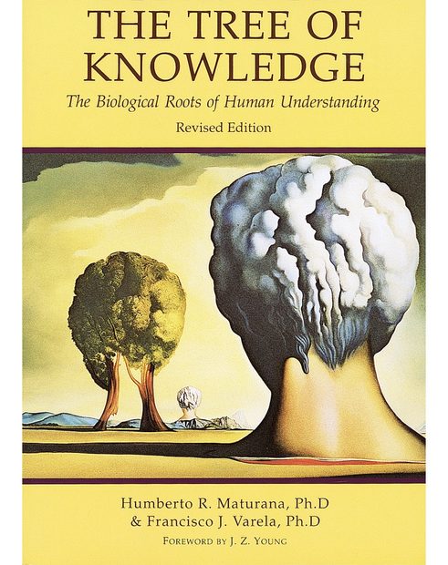 Tree of Knowledge