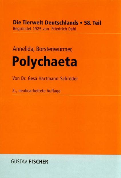 Annelida, Borstenwürmer, Polychaeta [German]