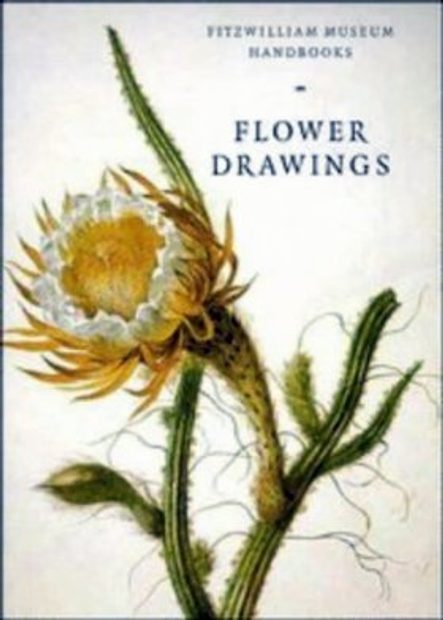 Flower Drawings