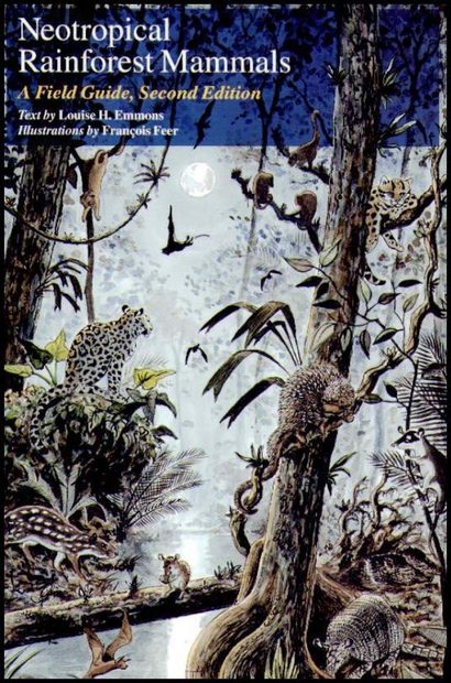 Neotropical Rainforest Mammals