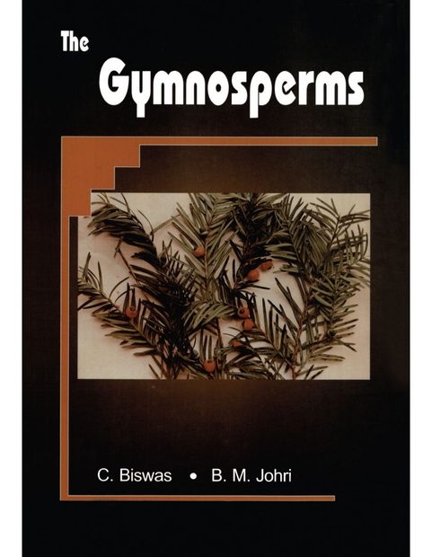 The Gymnosperms