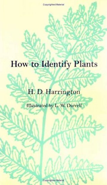 How to Identify Plants