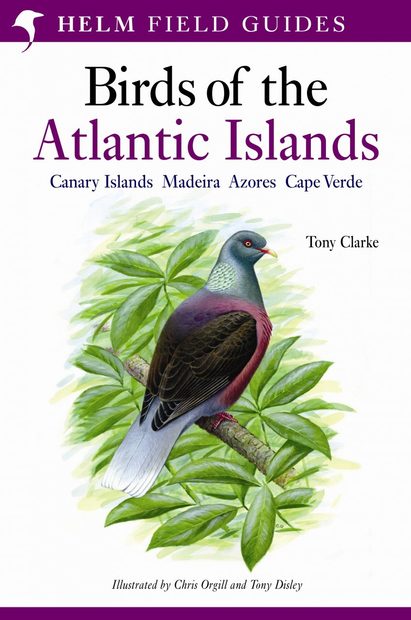 Birds of the Atlantic Islands
