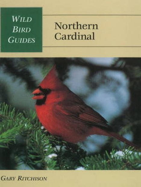 Northern Cardinal