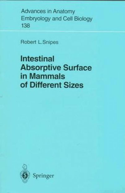 Intestinal Absorptive Surface in Mammals of Different Sizes