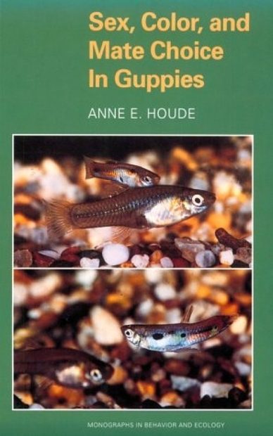 Sex, Color, and Mate Choice in Guppies