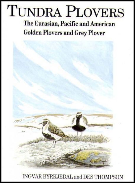 Tundra Plovers