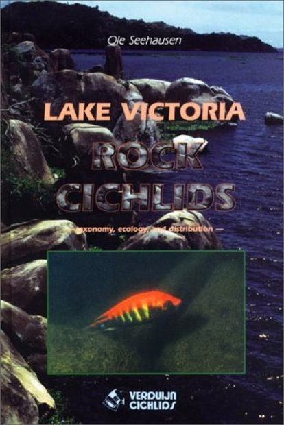 Lake Victoria Rock Cichlids