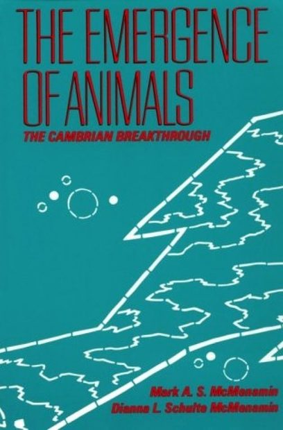The Emergence of Animals