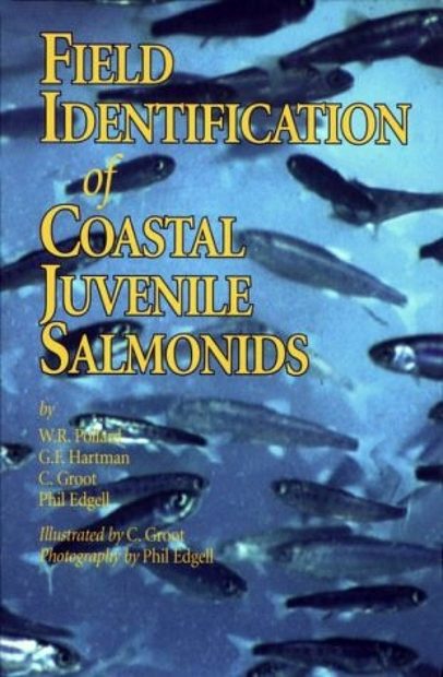 Field Identification of Coastal Juvenile Salmonids