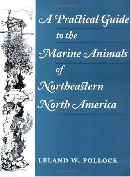A Practical Guide to Marine Animals of Northeastern North America